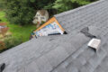 Roof Replacement & New Roofs