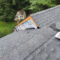 Roof Replacement & New Roofs